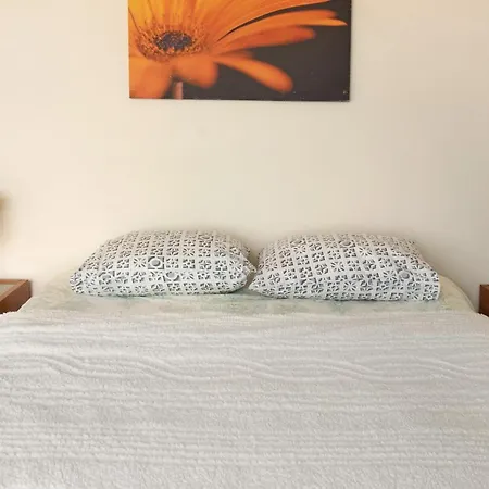 Madeira Liliana Campanário